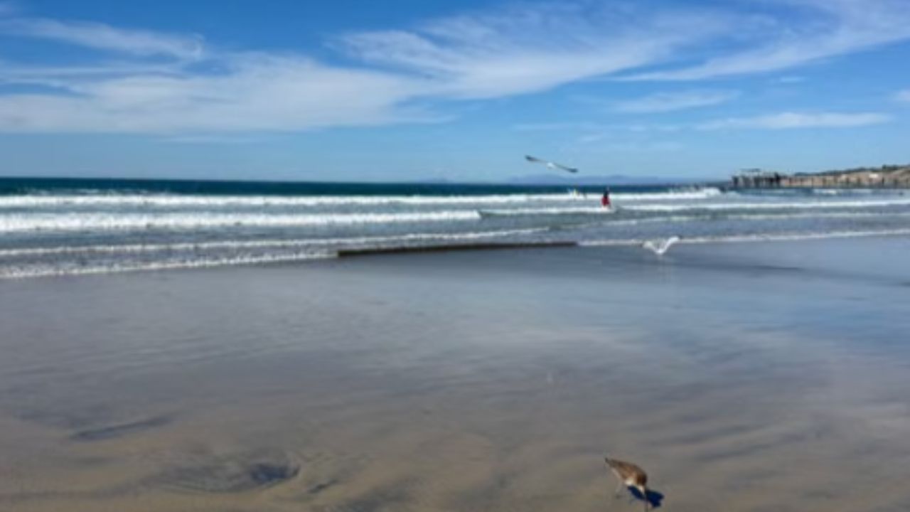 Sunny day at a San Diego beach